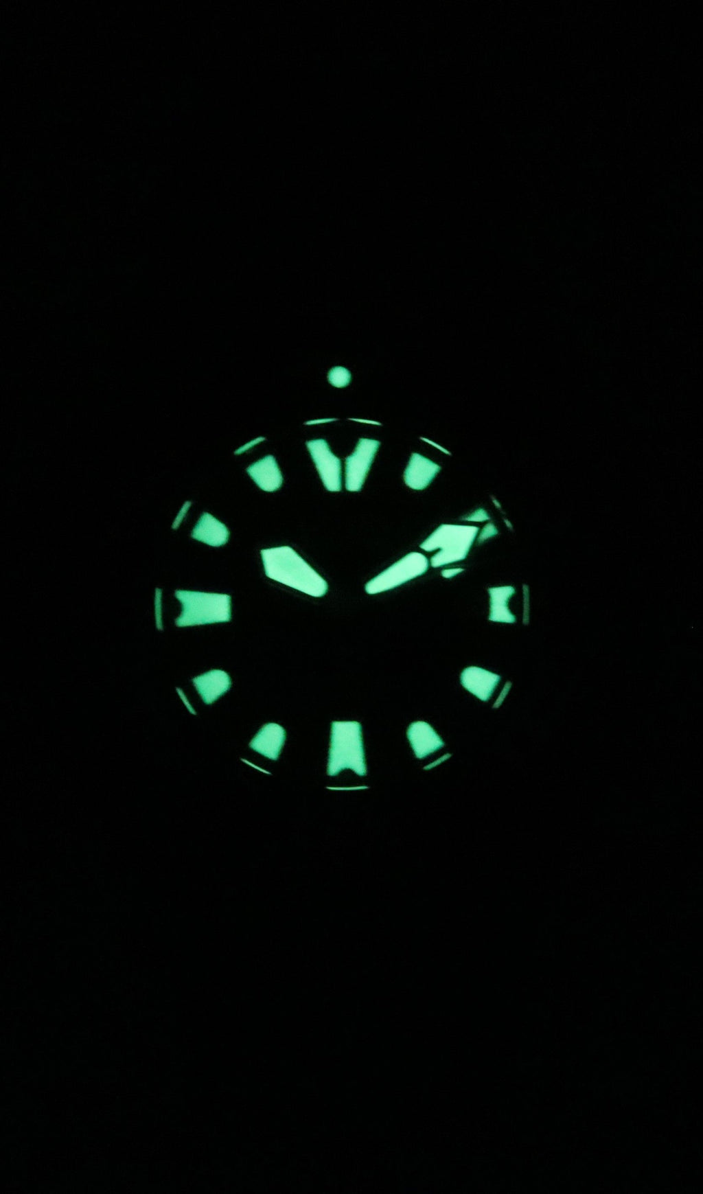 Citizen Promaster PU Strap Black Dial Eco-Drive Diver's BJ8055-04E 300M Men's Watch