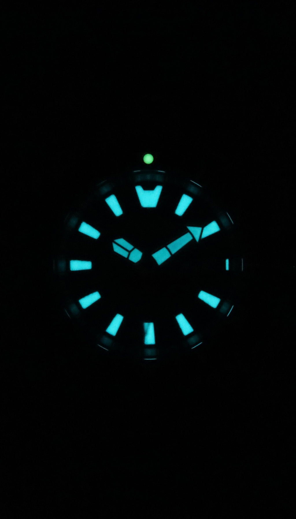 Citizen Promaster Marine Limited Edition Copper Dial Automatic Diver's NY0164-65X 200M Men's Watch with Extra Strap